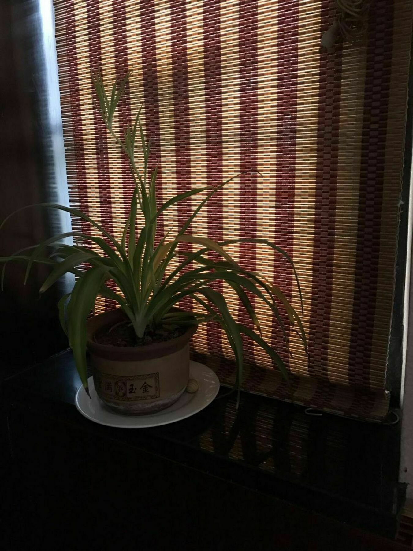 Pingyao Free Heart Hotel エクステリア 写真